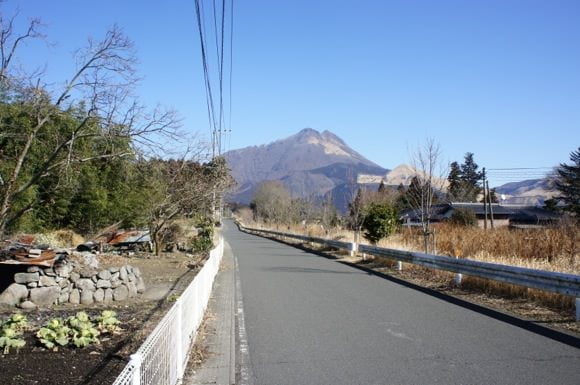 DSC02017.jpg DSC02017