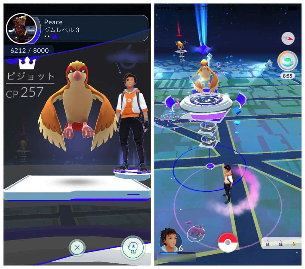 pokemongo-gym-battle-12.jpg Pokemongo gym battle 12