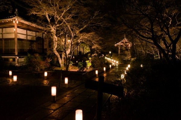 Arashiyama hanatoro 12