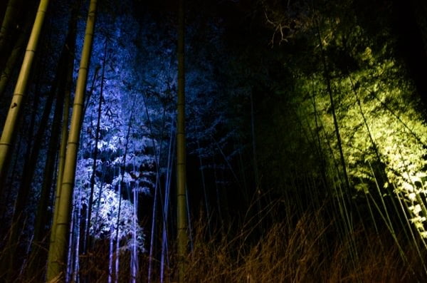 Arashiyama hanatoro 4