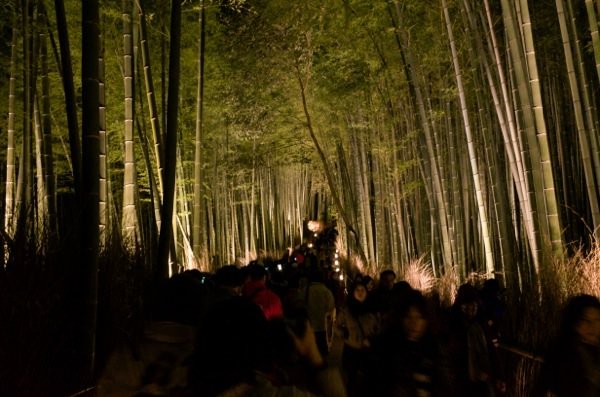 Arashiyama hanatoro 5