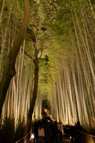 Arashiyama hanatoro 6