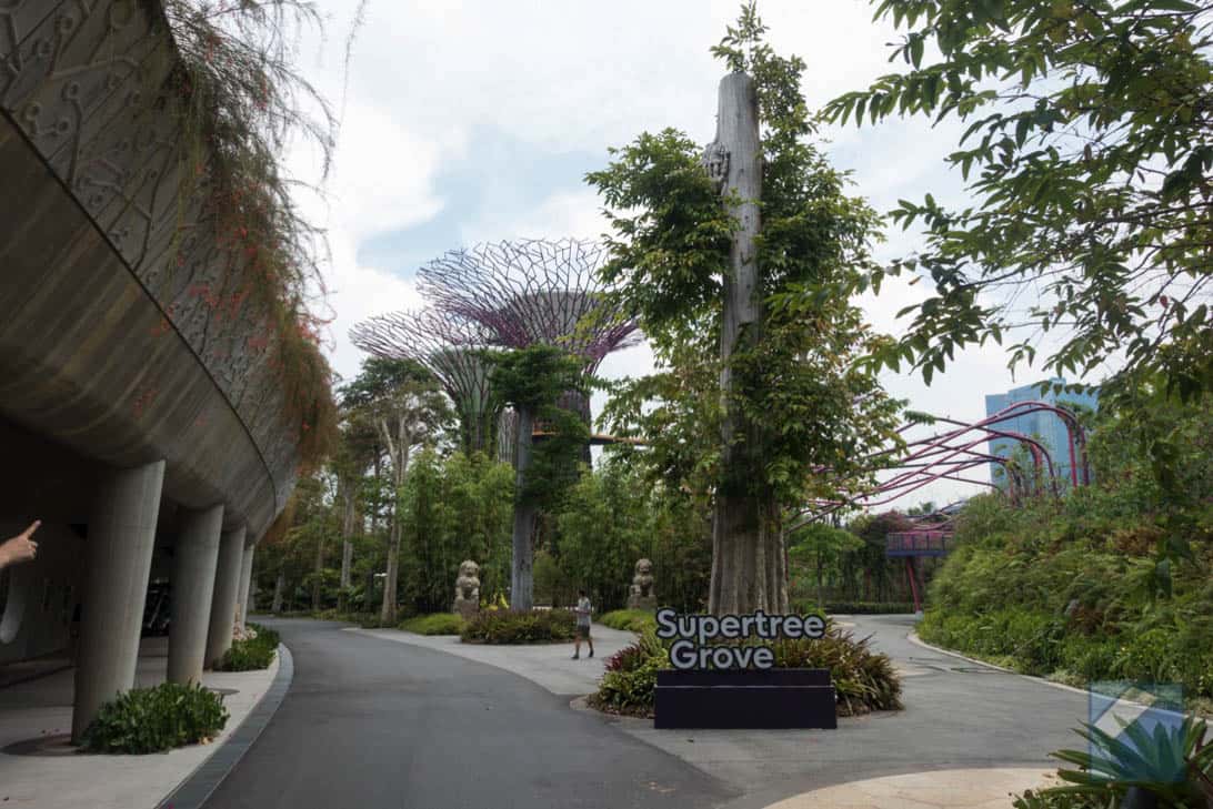 Gardens by the bay 3