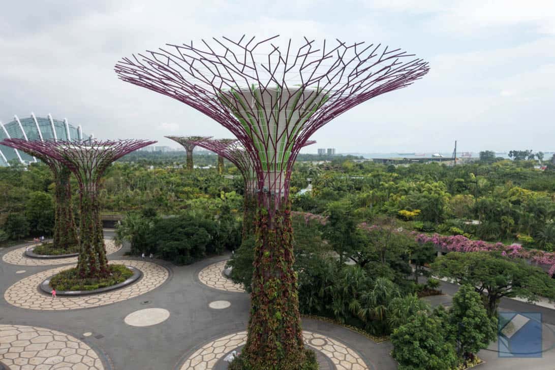 Gardens by the bay 9