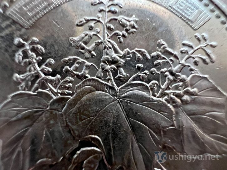 五百円玉の桐の葉の中央に描かれている微細なドットもよく見える