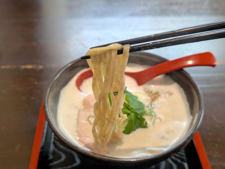 福岡で100年続く老舗製麺所・青木食産の全粒粉平打ち麺