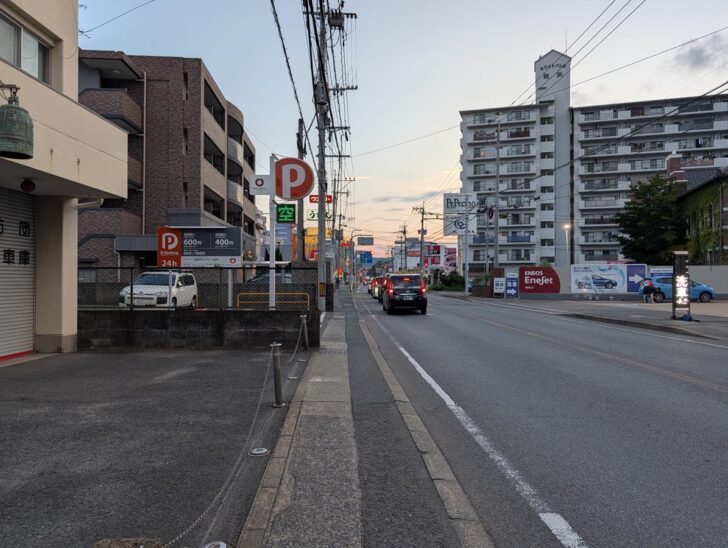 等倍で撮影した写真